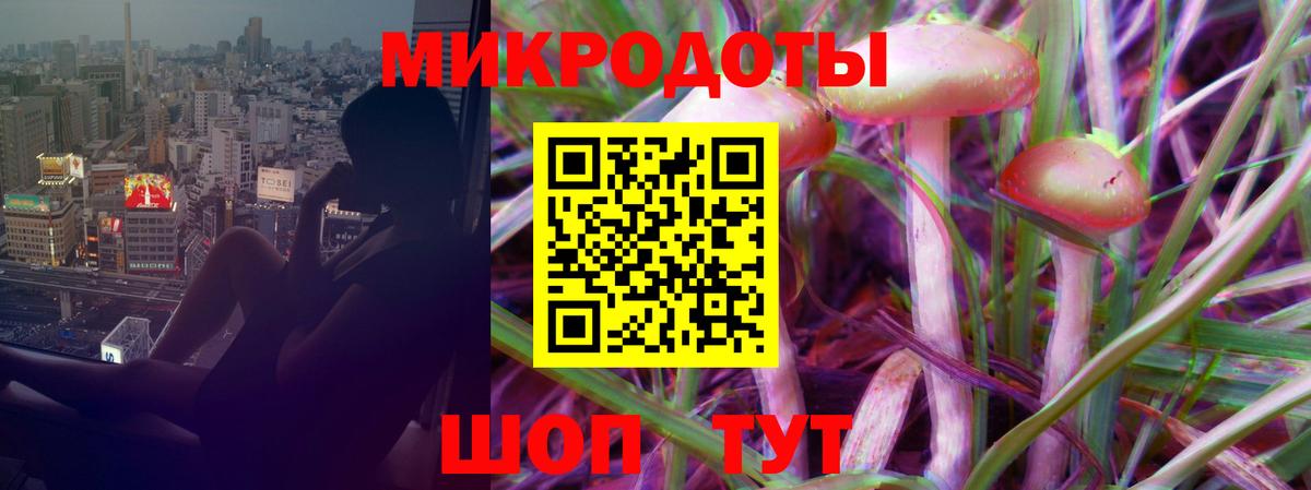 Псилоцибиновые грибы мицелий Муравленко